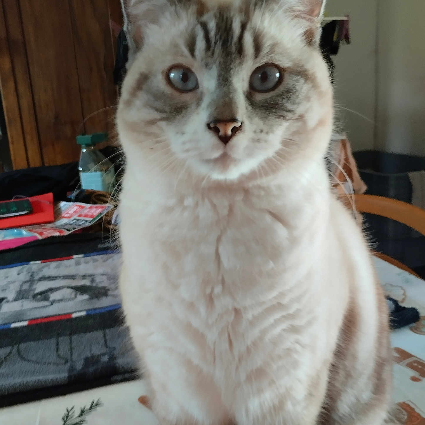 Coton