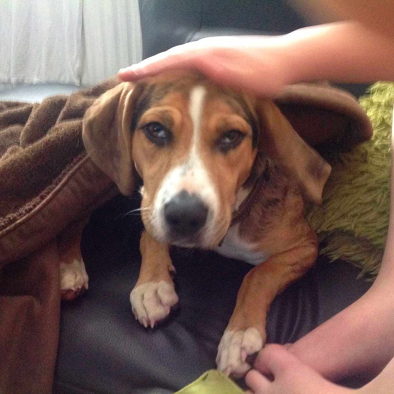 Penny