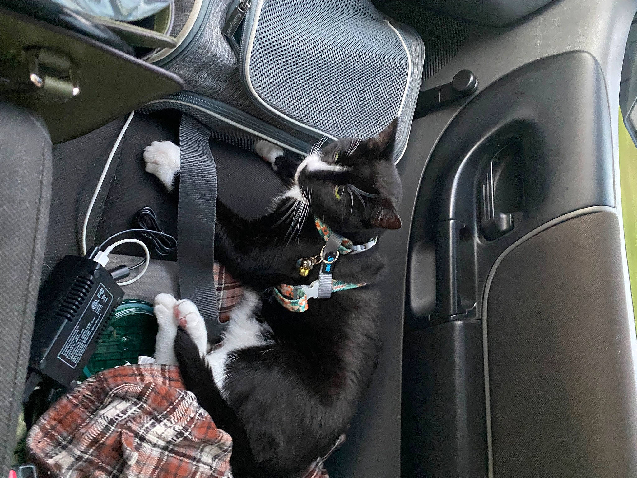 Ben joined the competition — help win amazing prizes! auto_part, automotive_design, automotive_exterior, automotive_lighting, automotive_tire, automotive_wheel_system, bag, carnivore, comfort, family_car, felidae, fender, motor_vehicle, personal_luxury_car, plaid, rim, steering_wheel, tartan, vehicle, vehicle_door