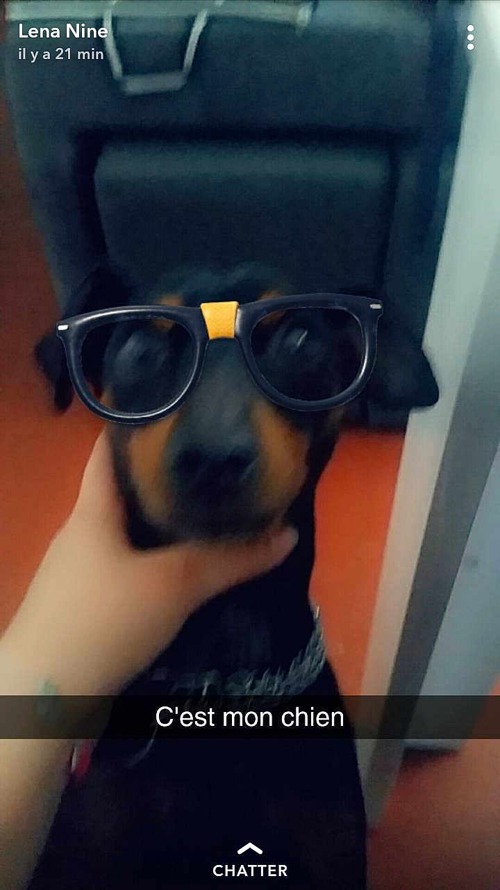 Chico