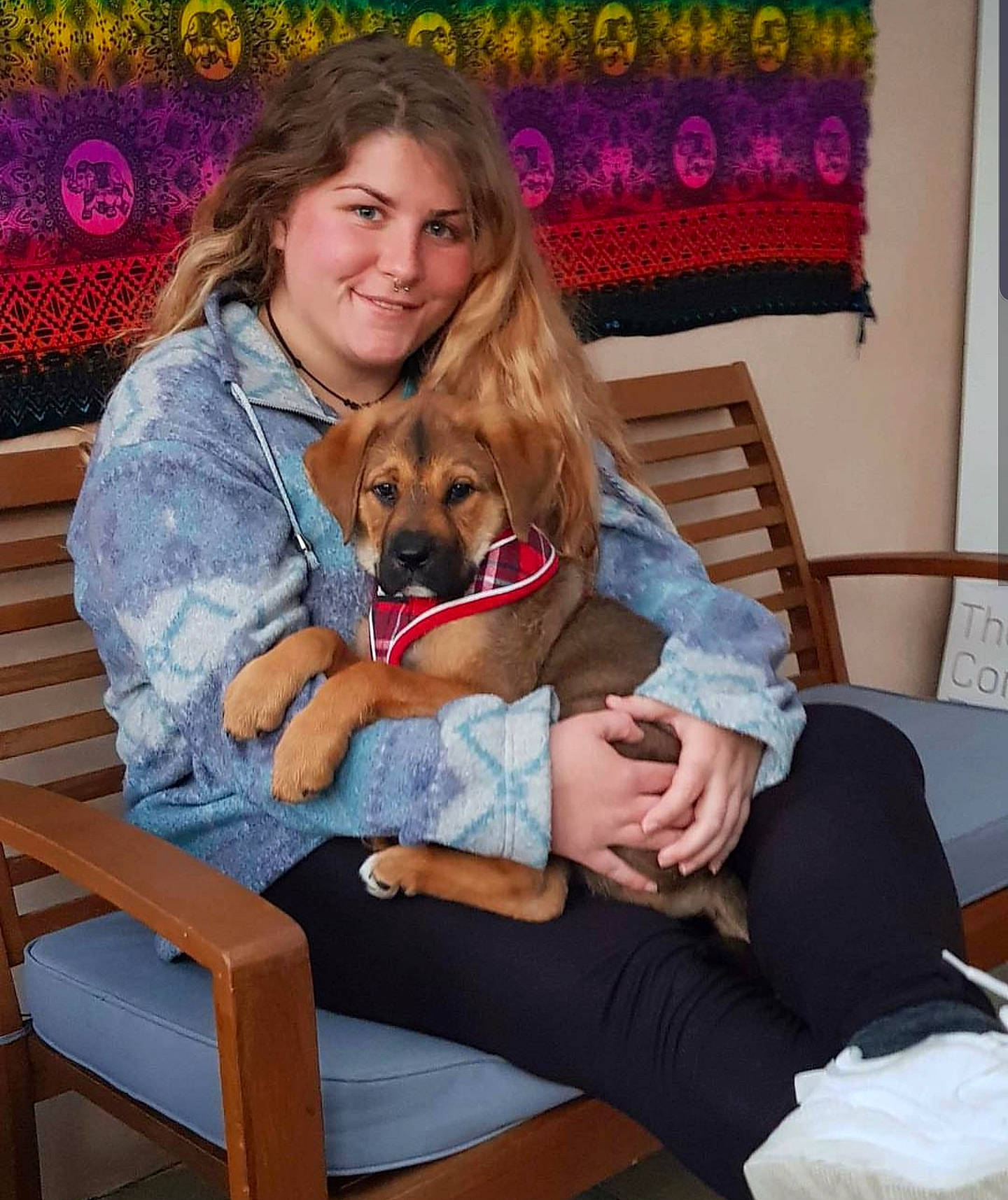 Prinny is registered to the contest to win money with this photo: australian_terrier, canidae, carnivore, companion_dog, dog, dog_breed, fawn, lap, mammal, pomeranian, puppy_love, sitting, sporting_group