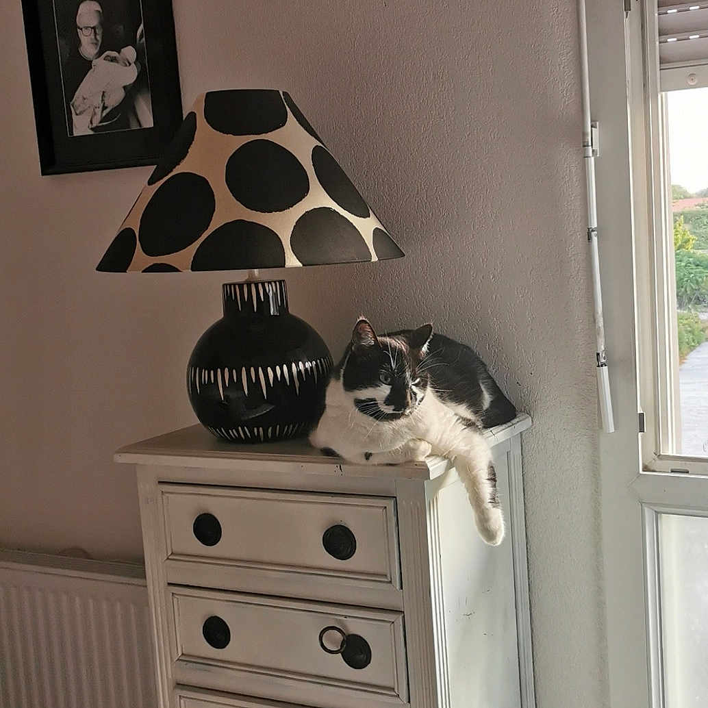 Helay a rejoint le concours — aidez-le/la à gagner de superbes lots ! art, black, cabinetry, chest, chest_of_drawers, door, drawer, dresser, flooring, grey, hardwood, interior_design, natural_material, pattern, room, shelving, visual_arts, window, wood, wood_stain