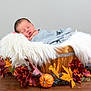 newborn, baby, sleeping, basket, blanket, wooden_floor, autumn_leaves, flowers, pumpkin, pinecone, cozy, indoor, portrait, decor, soft_texture, wrapped, peaceful, infant, candid, resting