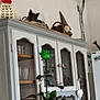 cat, cabinet, vase, green_rose, gnome, decor, indoor, furniture, sleeping, black_cat, basket, pinecones, kitchen, wall, refrigerator, ornament, wood, glass, shelf, plant