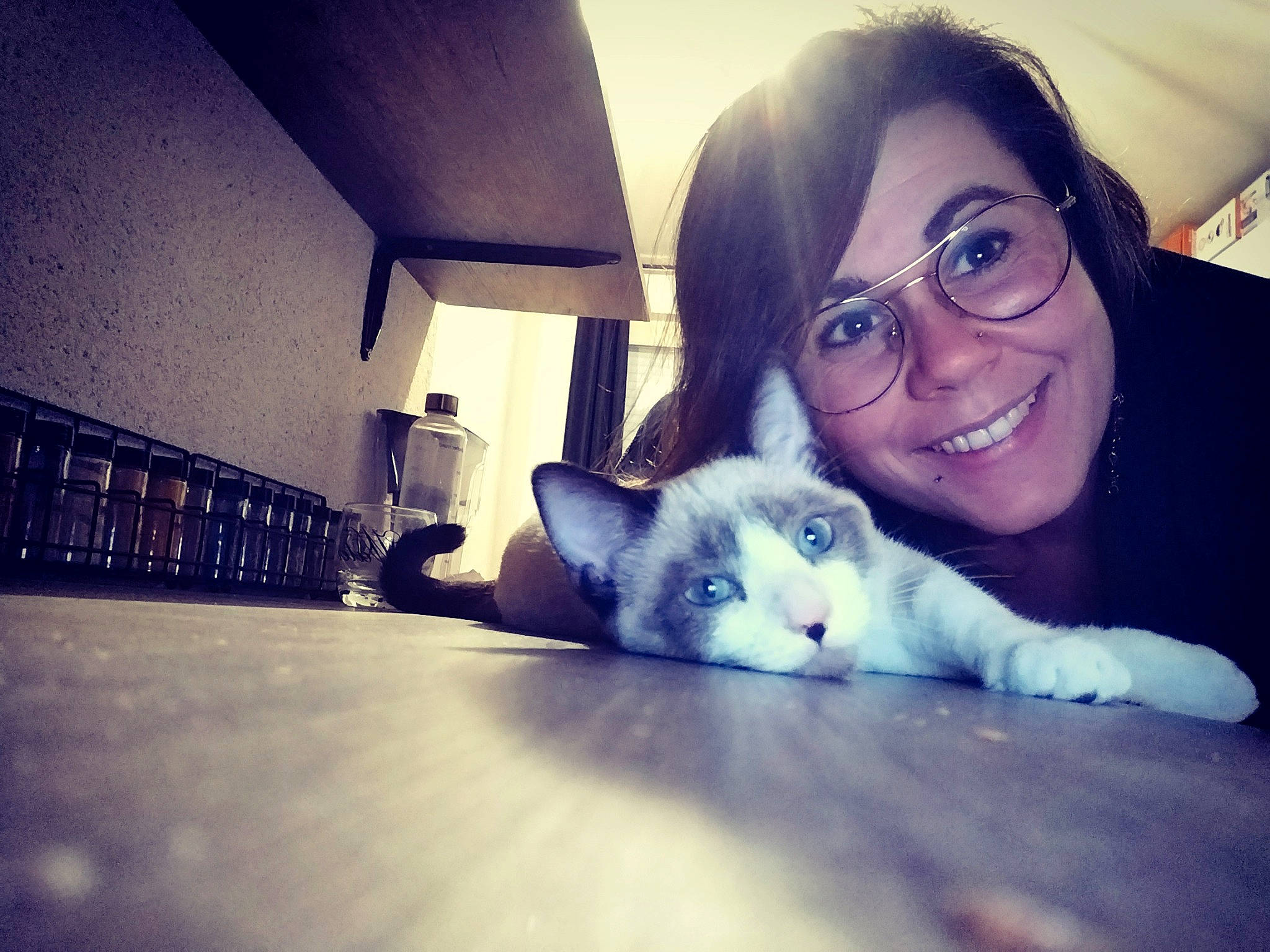 Sweet participe au concours pour gagner de l'argent avec cette photo : beard, carnivore, cat, comfort, companion_dog, cool, eyewear, felidae, flash_photography, flooring, glasses, happy, human_body, human_leg, iris, jaw, leg, small_to_medium_sized_cats, smile, whiskers