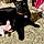 Crossy