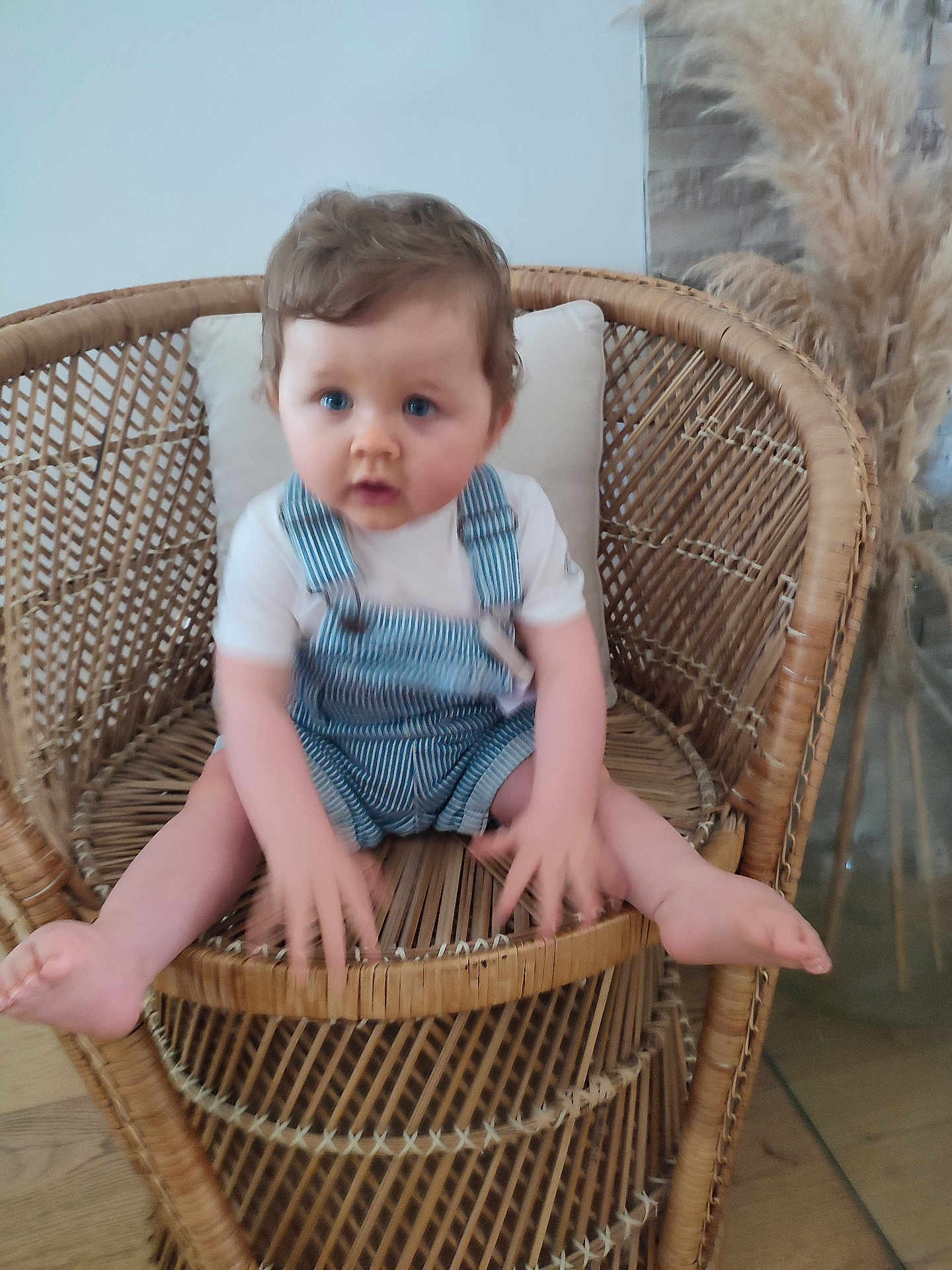 Lilio participe au concours pour gagner de l'argent avec cette photo : toddler, child, wicker_chair, overalls, white_shirt, blue_eyes, indoor, floor, pampas_grass, plant, wooden_floor, furniture, person, baby, seat, portrait, sitting, cute, blurred, homedecor