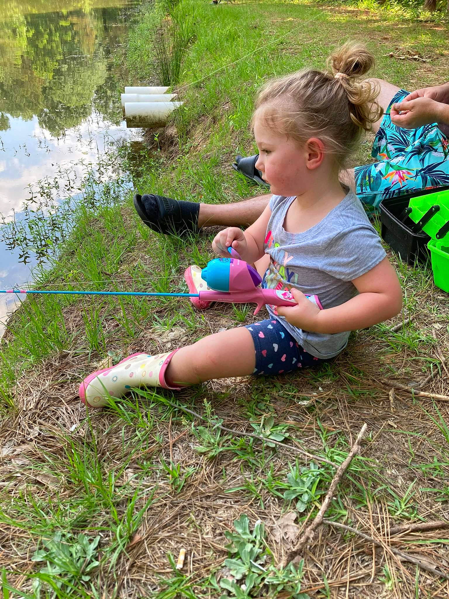 Kimberly is registered to the contest to win money with this photo: baby_toddler_clothing, backpack, botany, child, event, fun, garden, grass, grass_family, green, groundcover, lawn, people_in_nature, person, plant, shorts, sneakers, t_shirt, terrestrial_plant, toddler