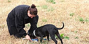 Texi a rejoint le concours — aidez-le/la à gagner de superbes lots ! animal, black_dog, brown_hair, casual_clothing, collar, daylight, dog, dry_grass, feeding, field, grass, interaction, kneeling, leisure, nature, outdoor, person, pet, playing, woman