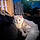 Casper