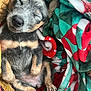 adorable, animal, basket, blanket, cozy, cute, domestic_animal, fur, napping, paw, pet, puppy, relaxing, resting, sleep, sleeping, small, snuggle, soft, young