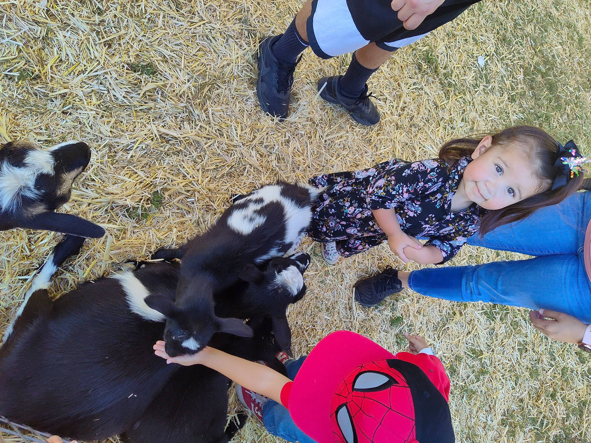 Addilyn joined the competition — help win amazing prizes! blue, companion_dog, dog_breed, electric_blue, foot, fun, fur, grass, human_leg, leg, leisure, people_in_nature, person, photograph, play, recreation, sitting, smile, snapshot, soil