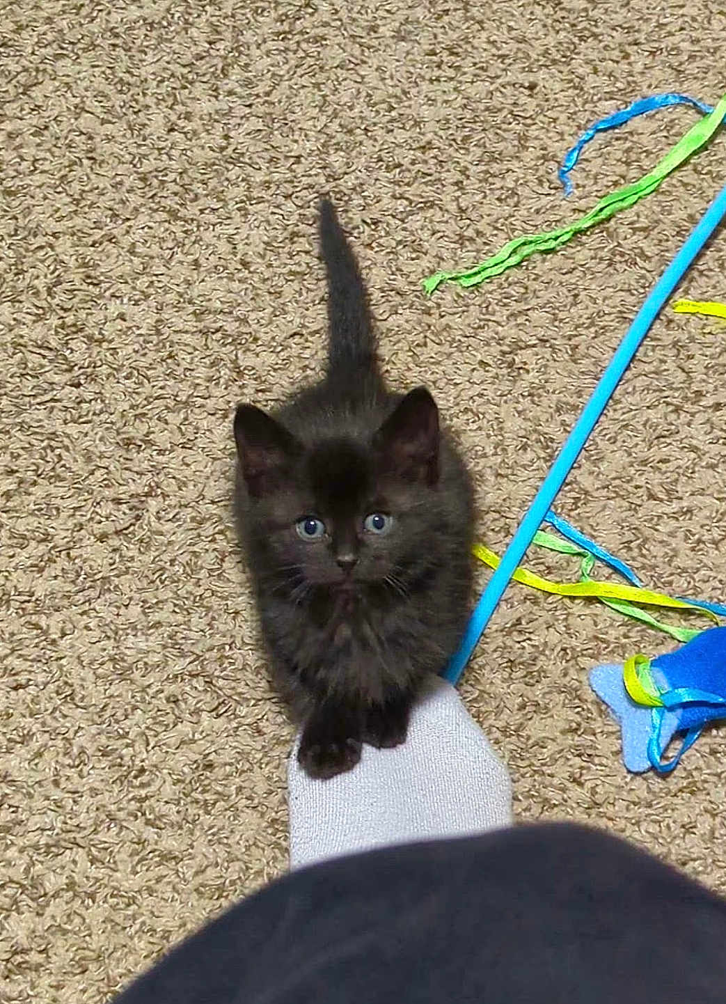 Jinx