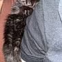 black_kitten, sleeping, cat, animal, pet, feline, paw, fur, person, glasses, arm, closeup, indoor, resting, cute, tiny, snuggling, soft, cozy, comfort