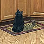 cat, black_cat, kitchen, wooden_floor, floor_mat, cabinet, indoor, pet, animal, curious, sitting, fur, domestic_cat, looking_up, mammal, cute, quiet, home, feline, companion