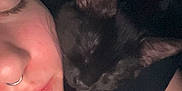 Jinx is registered to the contest to win money with this photo: person, cat, black_cat, sleeping, close_up, face, nose_ring, skin, ear, animal, pet, snuggling, cozy, rest, dark_background, eyelashes, human, indoor, affection, quiet
