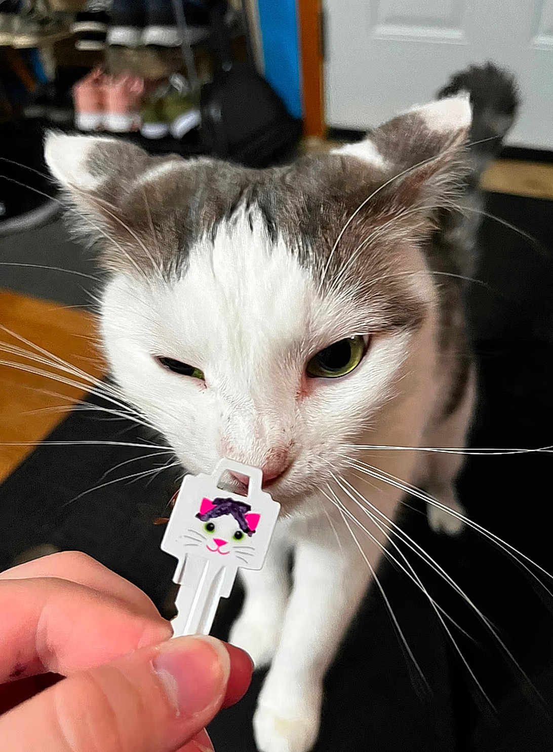 Bella