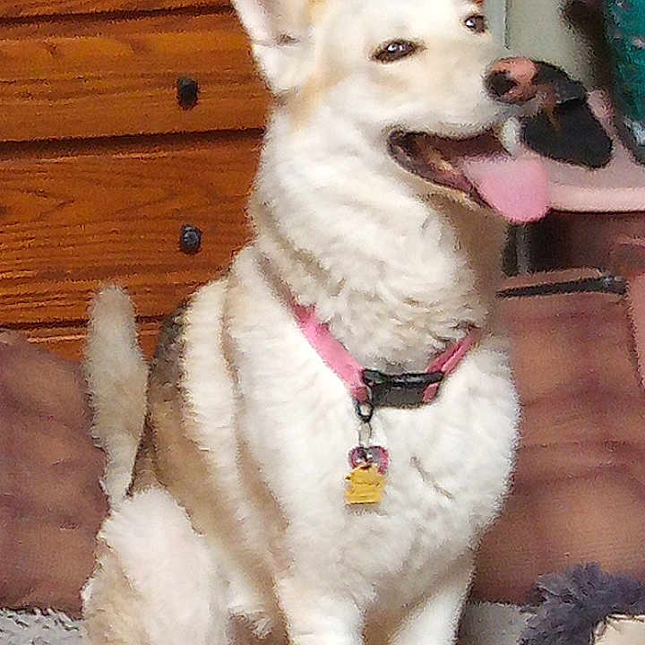 Nala