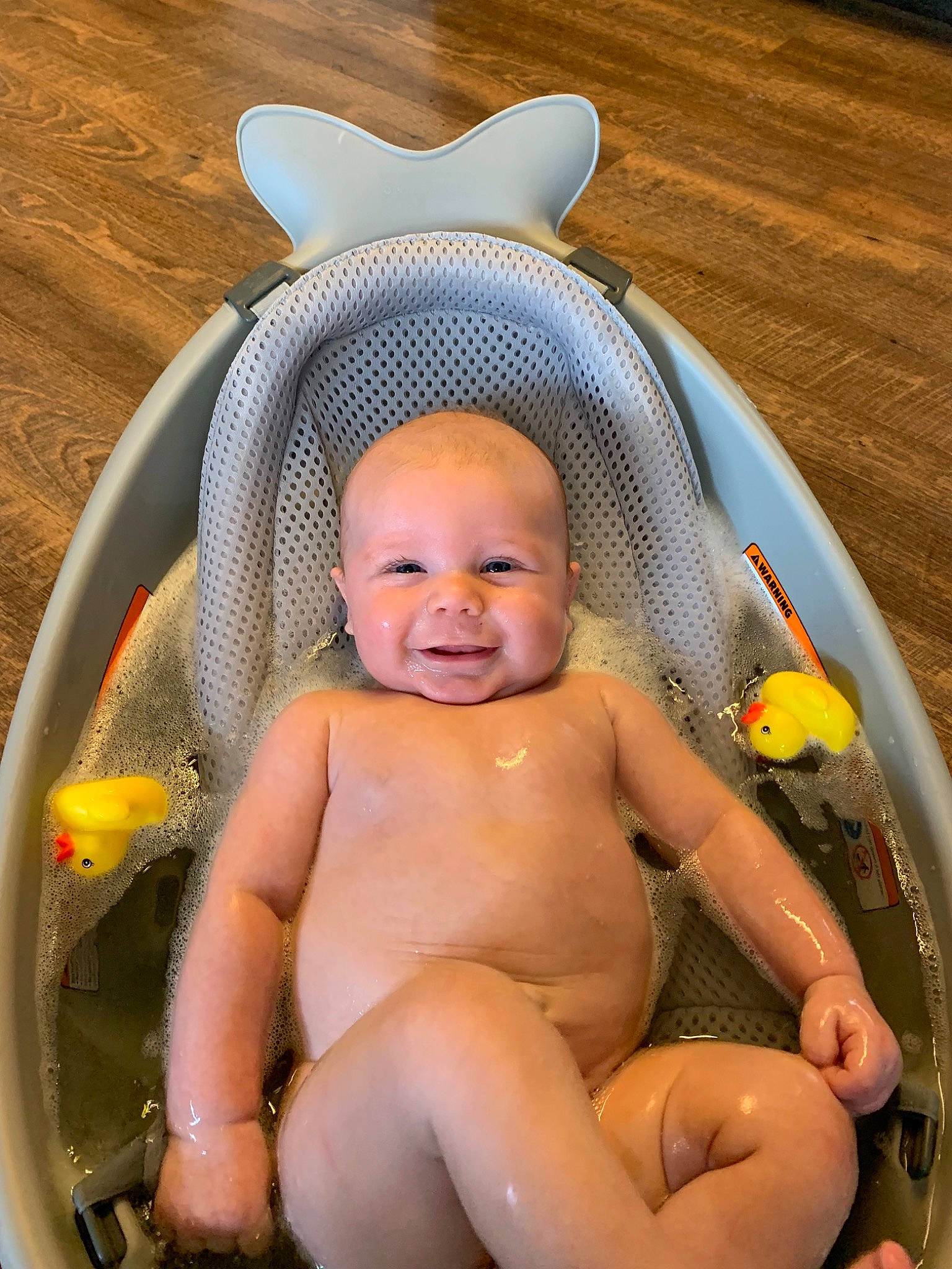 Braxtyn is registered to the contest to win money with this photo: arm, baby, cheek, eye, finger, happy, head, human_body, iris, joy, mouth, nose, organ, person, photograph, pink, skin, smile, thumb, toddler