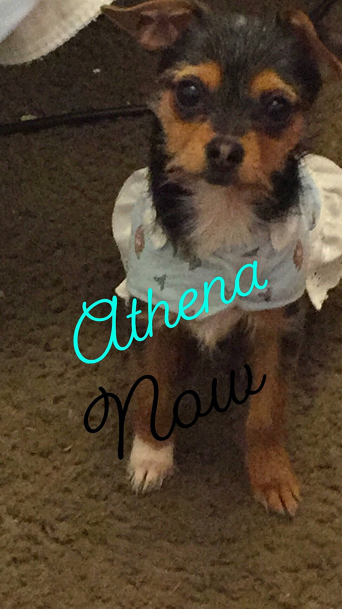 Athena