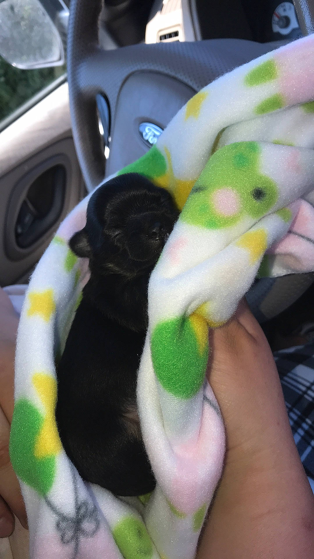 Sky joined the competition — help win amazing prizes! canidae