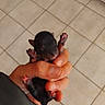 animal, baby, close_up, cute, dog, domestic, fingers, hand, holding, indoor, newborn, paw, person, pet, pink_pads, puppy, skin, small, tile_floor, tiny