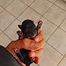 animal, black_fur, closed_eyes, closeup, cute, floor, fragile, hand, holding, indoor, mammal, newborn, paw, person, pet, puppy, small, tile, tiny, young