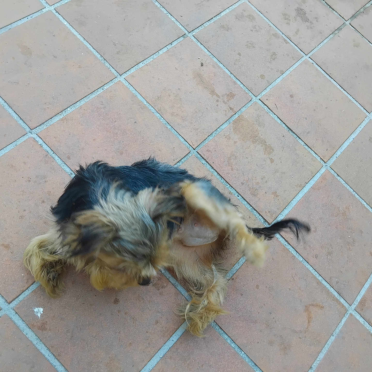 Bella Avec Son Bébé