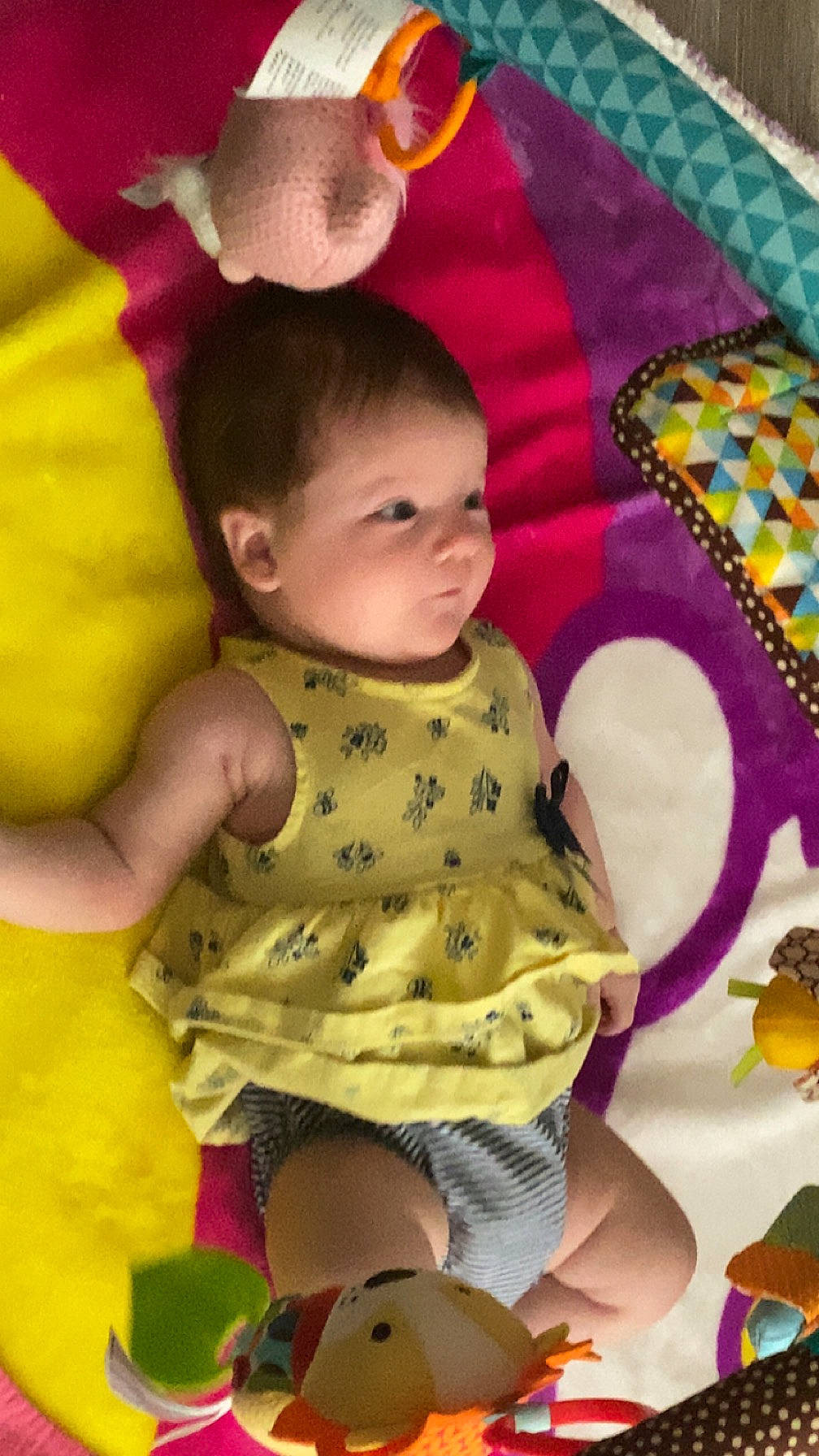 Scarlett joined the competition — help win amazing prizes! baby, baby_products, baby_toddler_clothing, cheek, child, dress, fun, grass, happy, linens, magenta, pattern, person, pink, play, purple, sitting, skin, textile, toddler