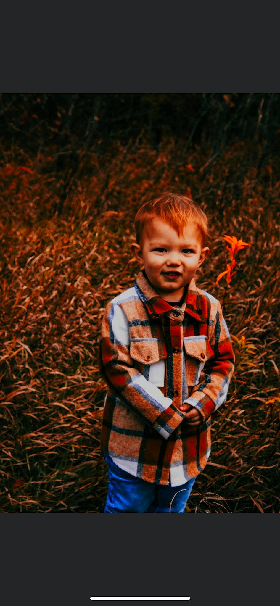 Parker joined the competition — help win amazing prizes! adaptation, child, eye, flash_photography, grass, hair, happy, head, leaf, orange, people_in_nature, person, photograph, plant, red, smile, standing, tartan, toddler, tree