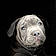 Balou