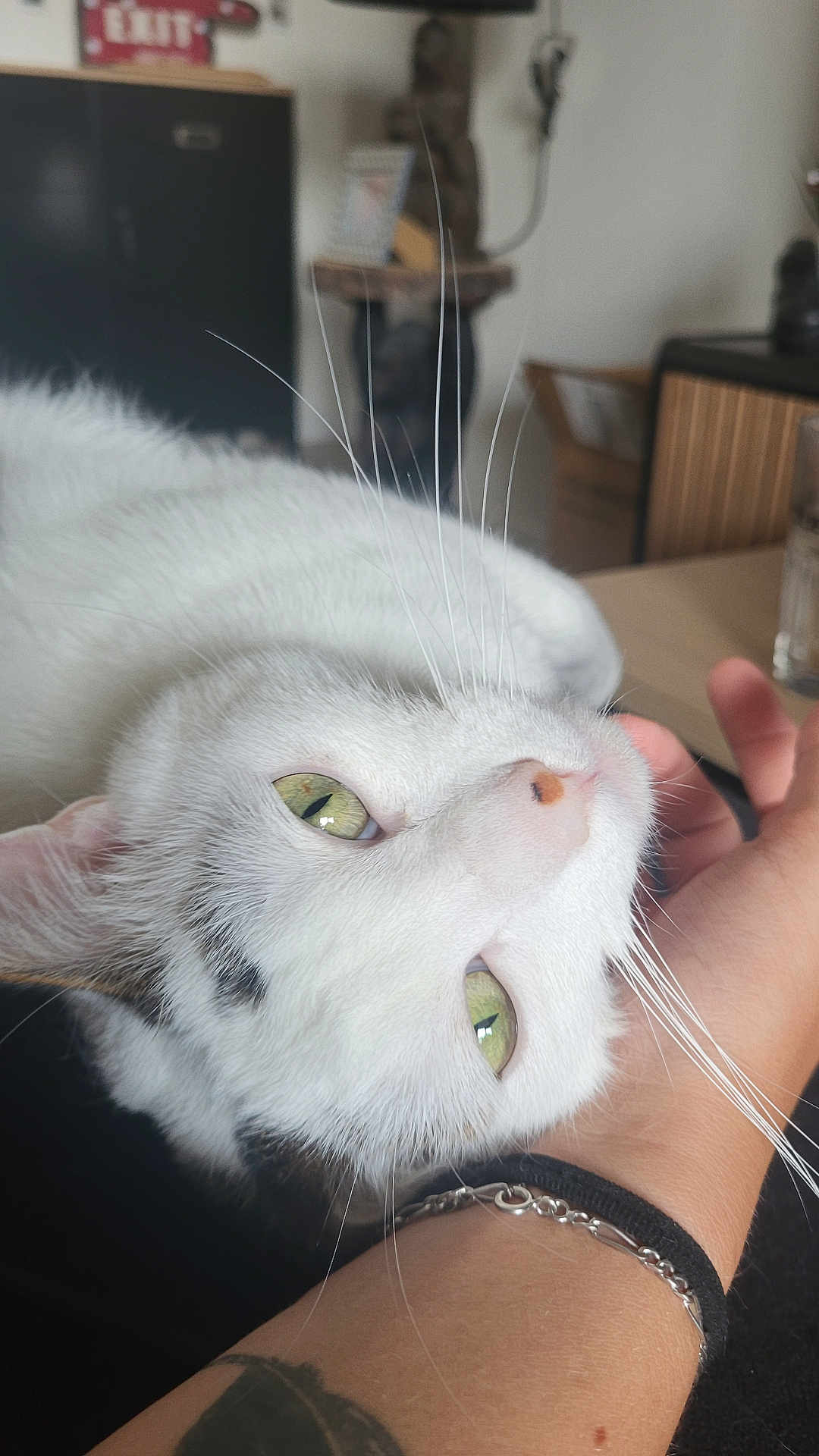 Yuki
