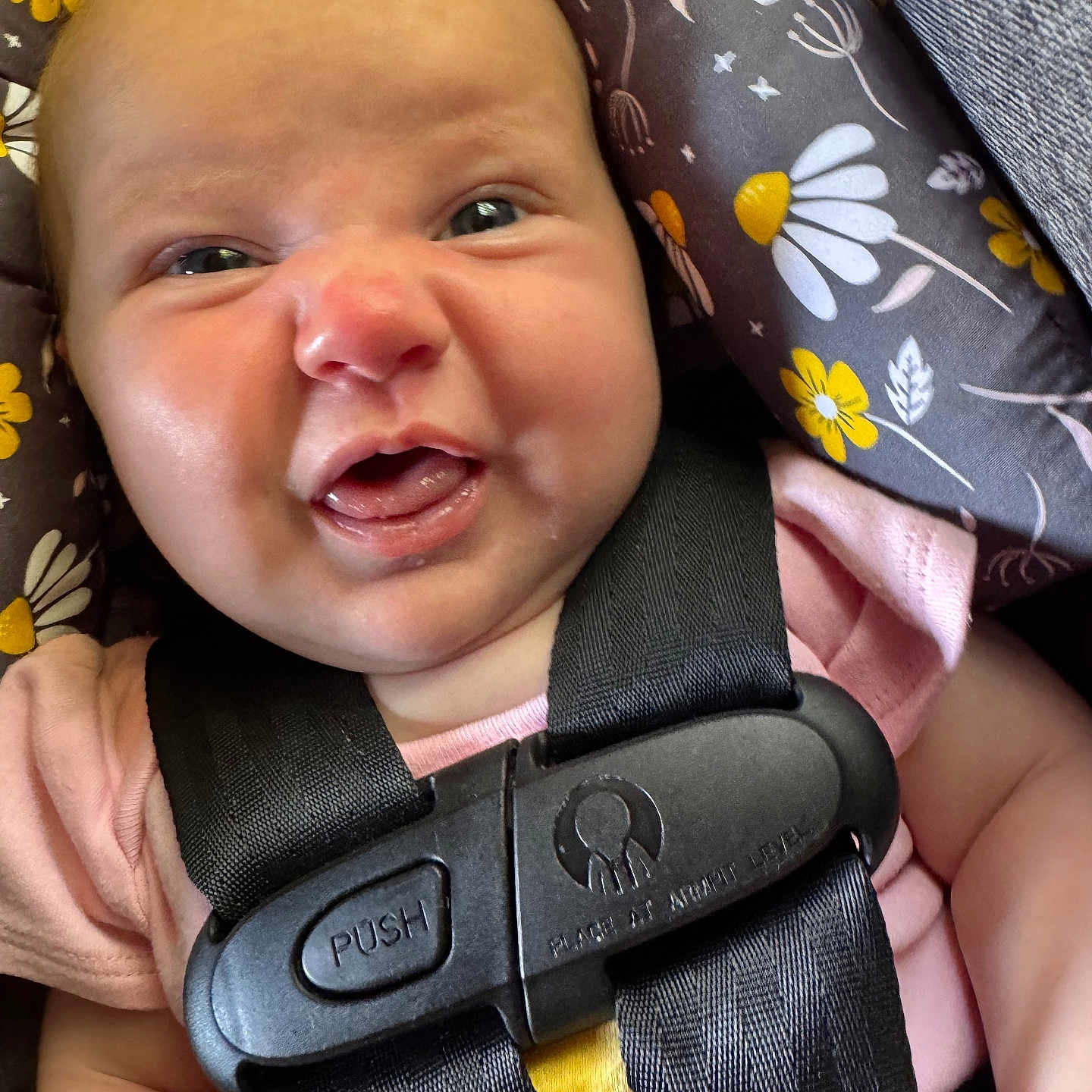 Emerson Rae is registered to the contest to win money with this photo: baby, car_seat, child, close_up, clothing, cute, expression, eyes, face, floral_pattern, head, indoors, infant, mouth_open, person, pink_shirt, safety, seat_belt, skin, straps