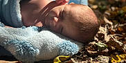 Ryder joined the competition — help win amazing prizes! baby, blanket, sleeping, outdoor, autumn, leaves, sunlight, infant, peaceful, nature, skin, soft_texture, closeup, child, head, face, relaxation, cocoon, toddler, warm_light