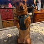 animal, blanket, brown_dog, cartoon_bear, closeup, cozy, cute, dog, dresser, furniture, harness, indoor, pet, playful, portrait, room, shelf, small_dog, standing, toy