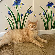 Spoon is registered to the contest to win money with this photo: cat, ginger_cat, fluffy, indoor, floor, tile_floor, wall_painting, flower_painting, purple_flowers, green_stems, relaxed, lying_down, pet, animal, fur, whiskers, ears, paws, domestic_cat, cute