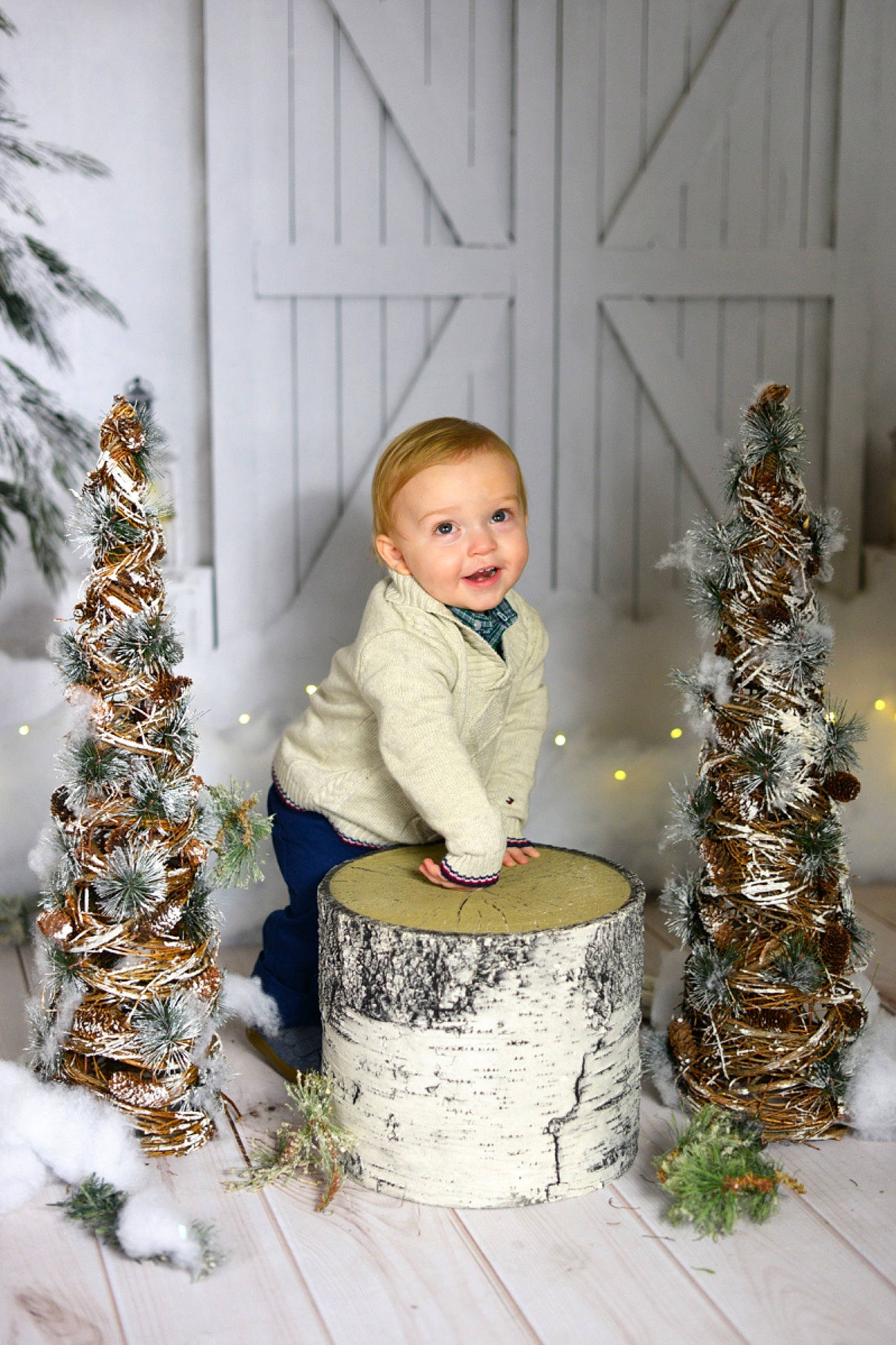 Dallas joined the competition — help win amazing prizes! branch, christmas, christmas_decoration, christmas_eve, christmas_ornament, christmas_tree, event, evergreen, grass, holiday, holiday_ornament, lighting, ornament, person, plant, smile, toddler, tree, twig, white