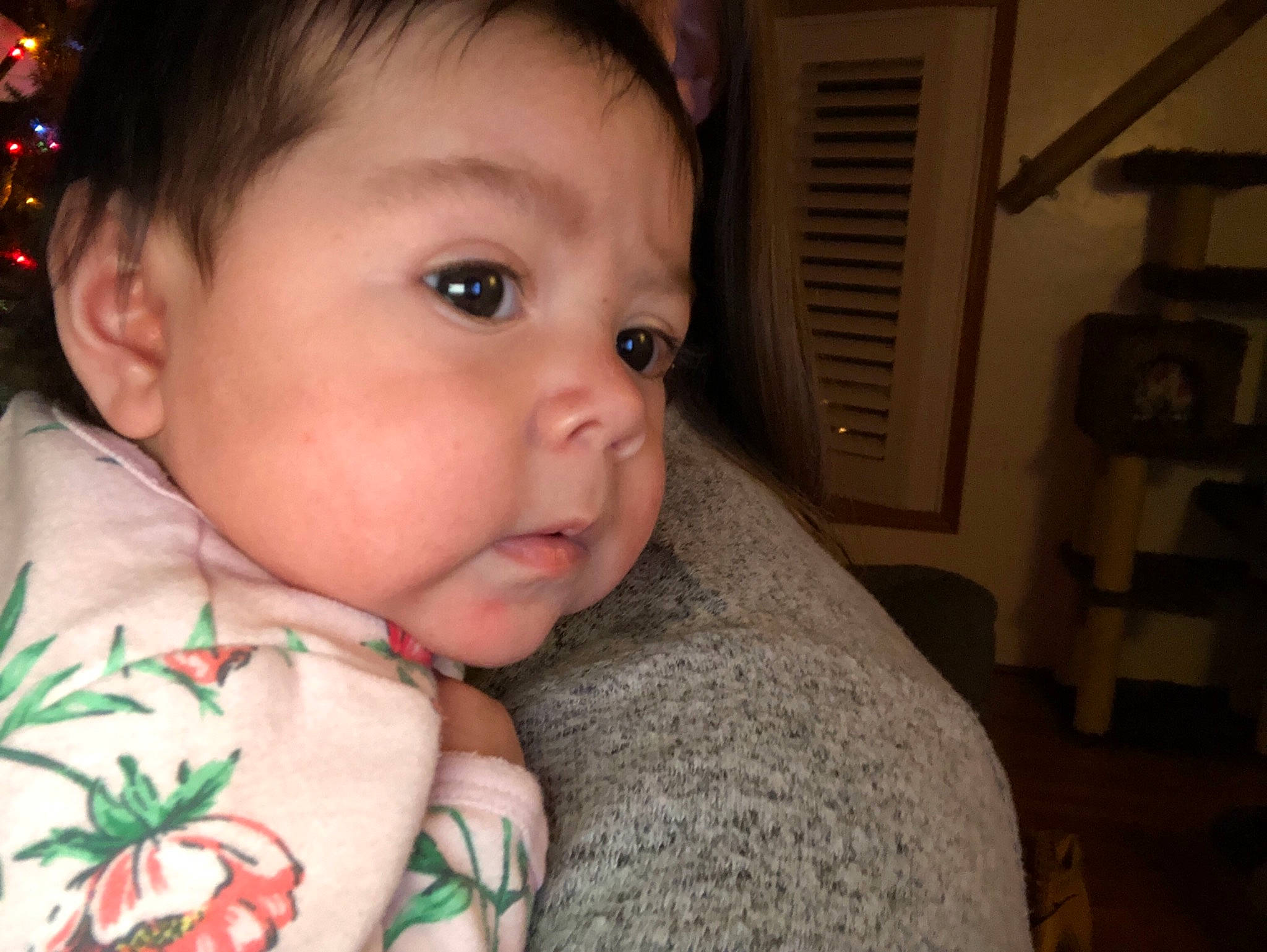 Bianca joined the competition — help win amazing prizes! black_hair, boy, cheek, child, chin, ear, eye, eyebrow, face, forehead, girl, head, human_hair_color, infant, lip, mouth, nose, person, skin, smile