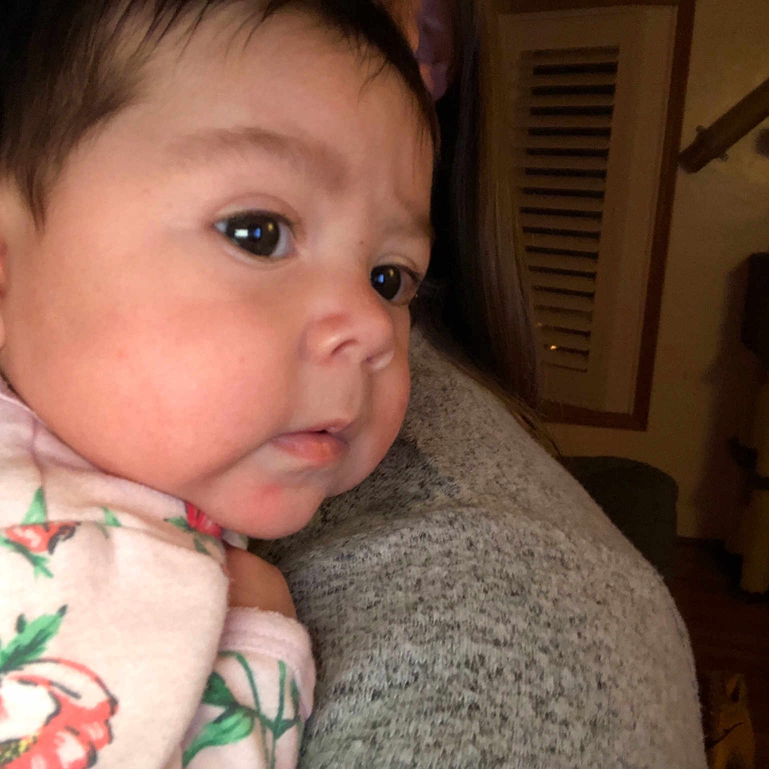 Bianca joined the competition — help win amazing prizes! black_hair, boy, cheek, child, chin, ear, eye, eyebrow, face, forehead, girl, head, human_hair_color, infant, lip, mouth, nose, person, skin, smile