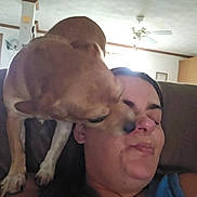 Chloe Juzysta joined the competition — help win amazing prizes! affection, brown_dog, casual, ceiling_fan, close_up, comfort, couch, dog, friendship, fur, home, human_face, indoor, interaction, kiss, living_room, person, pet, relaxation, smile