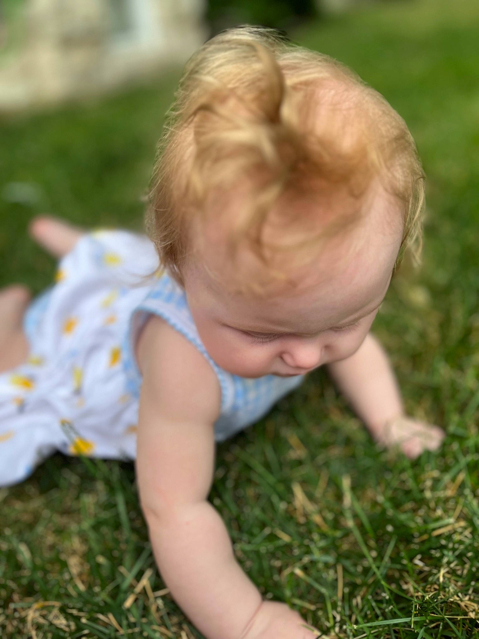 Briella is registered to the contest to win money with this photo: baby, baby_toddler_clothing, blond, cheek, child, crawling, flooring, fun, grass, happy, lawn, meadow, nose, people_in_nature, person, plant, sitting, skin, toddler, tree