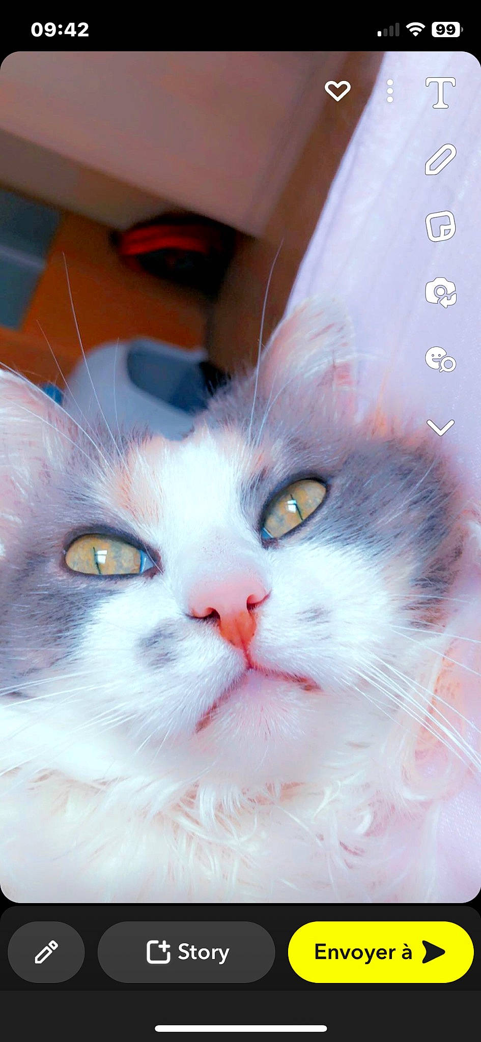 Fanny participe au concours pour gagner de l'argent avec cette photo : art, carnivore, cat, creative_arts, domestic_short_haired_cat, eye, felidae, fur, head, iris, paw, small_to_medium_sized_cats, snout, tail, terrestrial_animal, whiskers