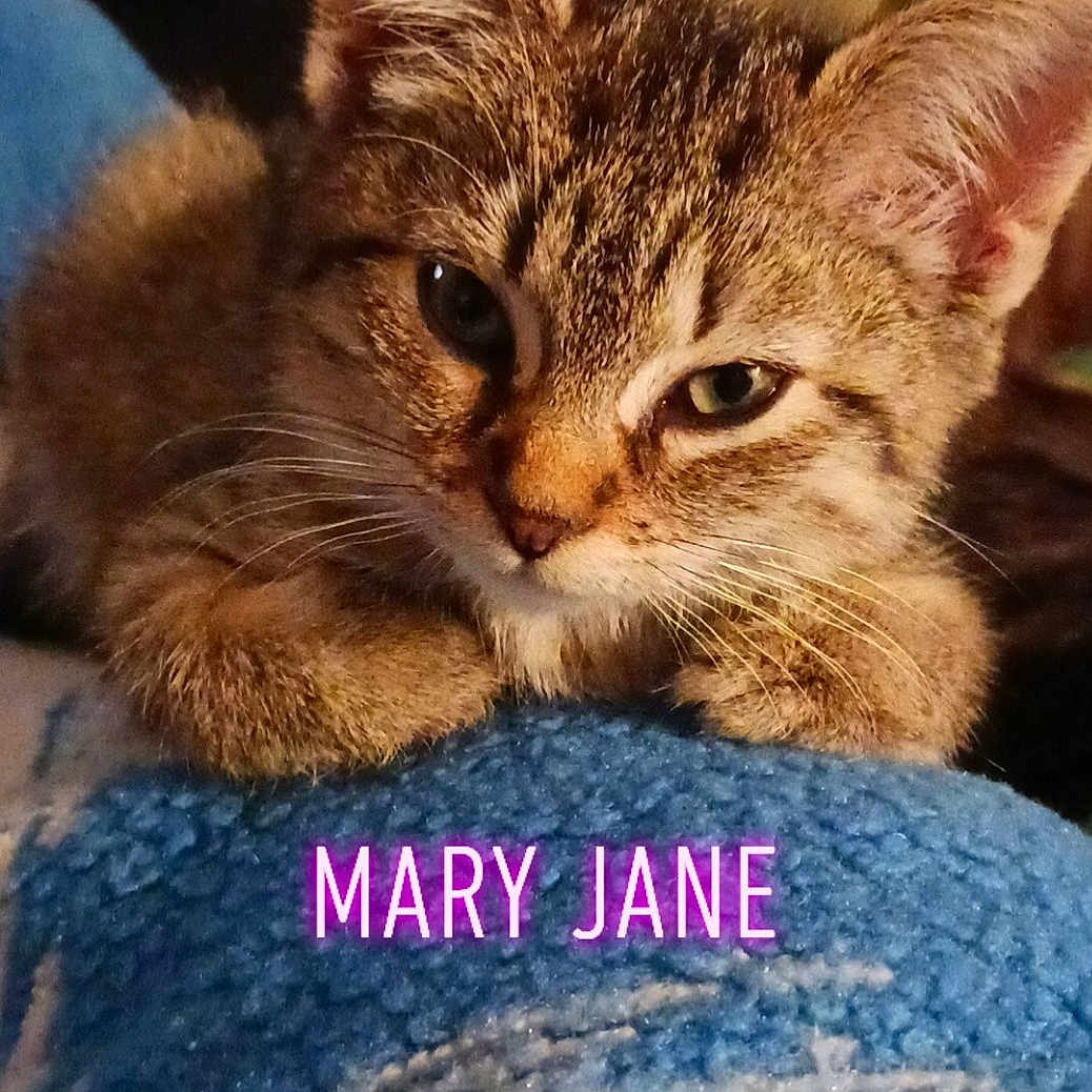 Mary Jane