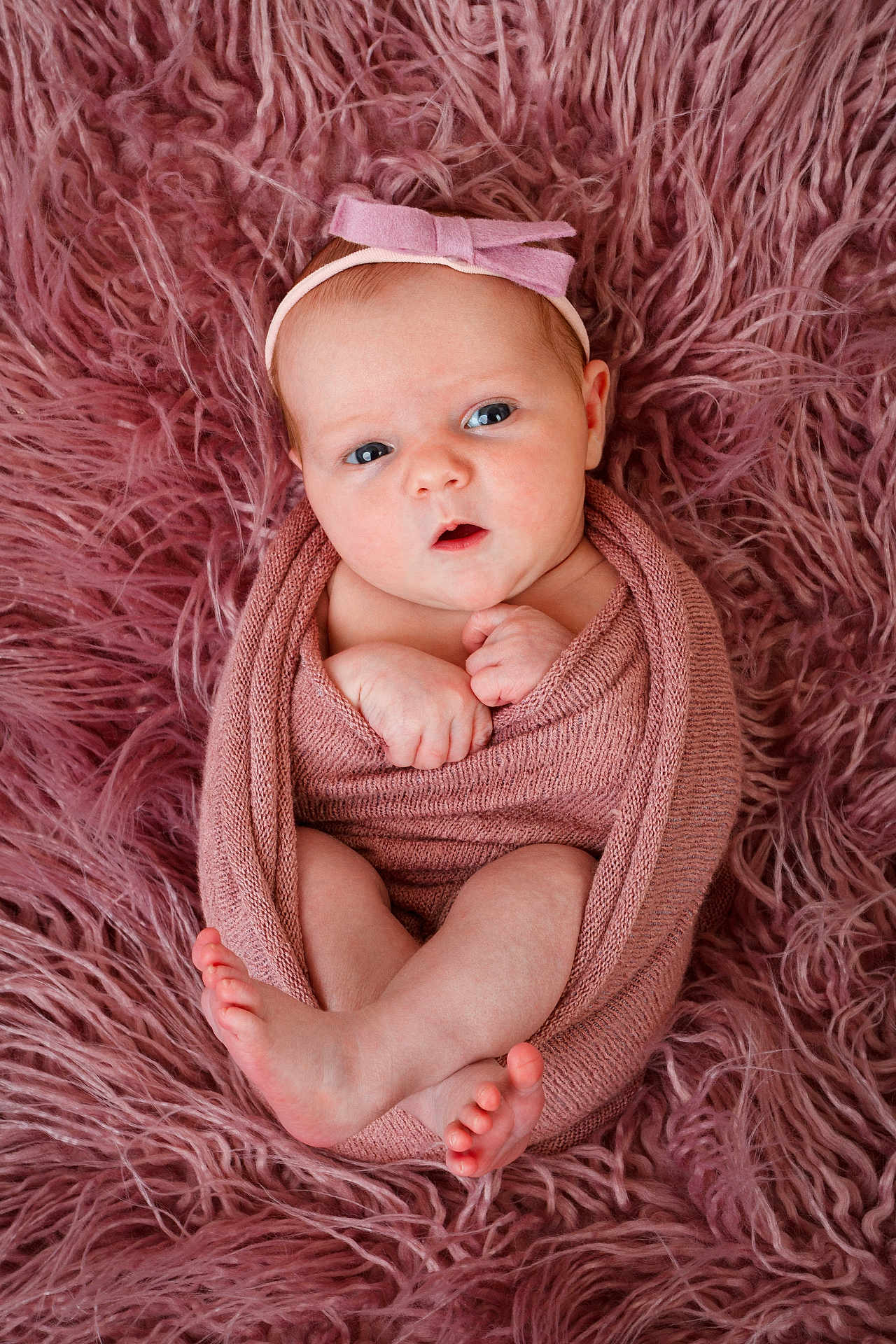 Harper