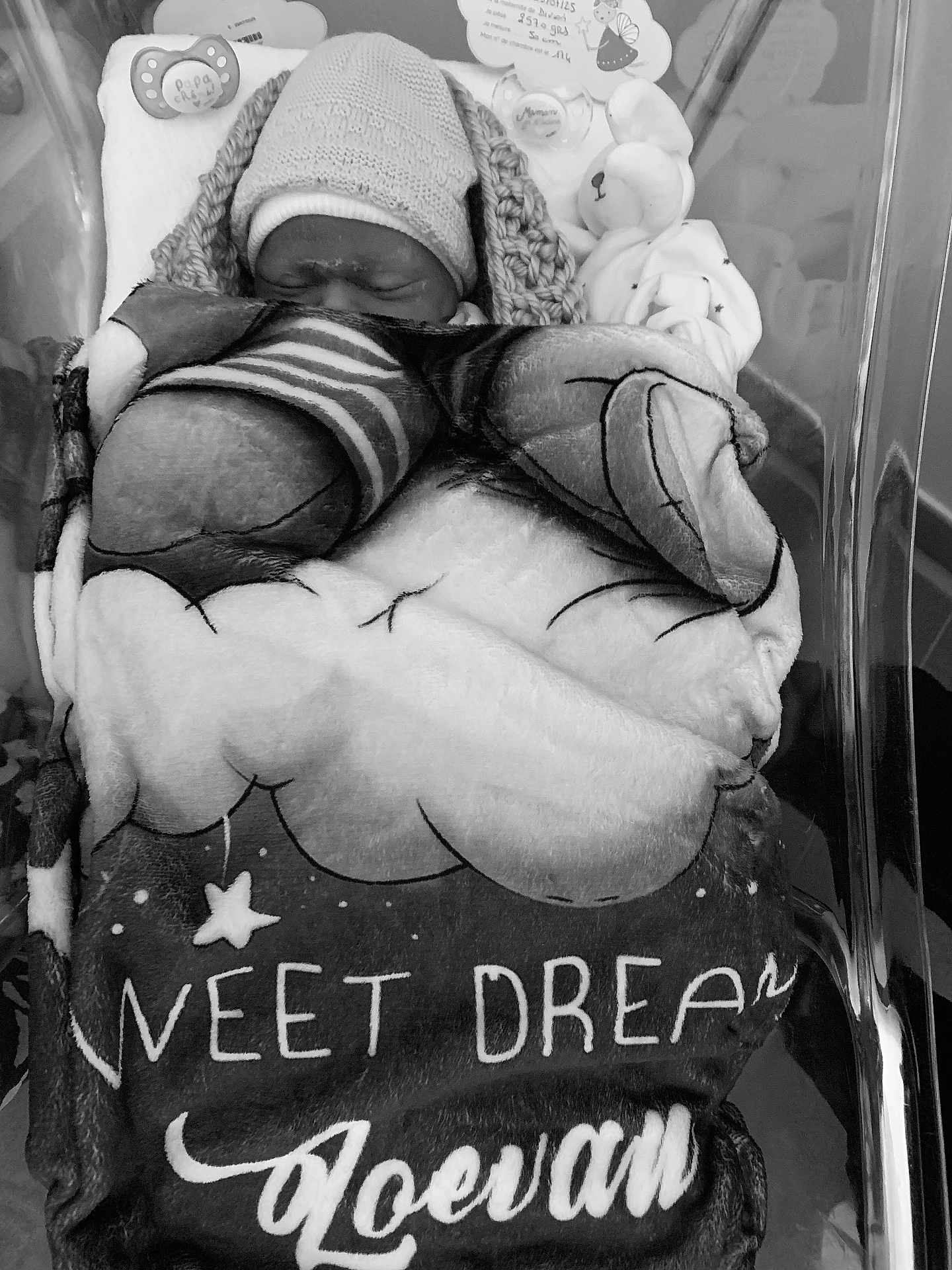 Loëvan participe au concours pour gagner de l'argent avec cette photo : newborn, baby, blanket, knitted_hat, sleeping, hospital_bassinet, pacifier, stuffed_toy, black_and_white, wrapped, cozy, infant, cute, peaceful, baby_clothes, soft, indoors, portrait, child, resting