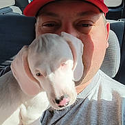 Coca is registered to the contest to win money with this photo: animal, cap, car_interior, casual, close_up, companion, daylight, dog, face, mammal, man, pet, puppy, seat, shadow, shirt, sunlight, transport, window, young_dog