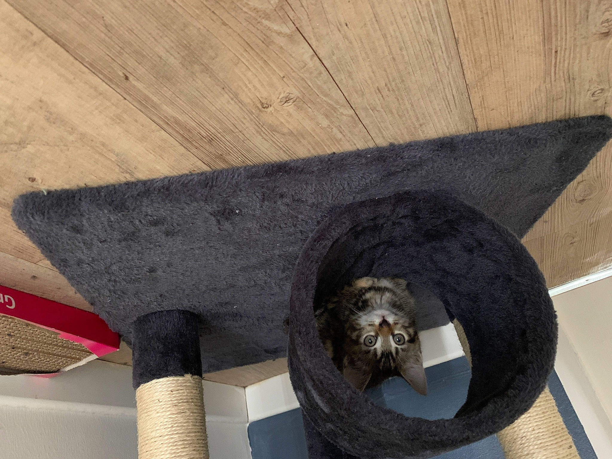 Milly a rejoint le concours — aidez-le/la à gagner de superbes lots ! architecture