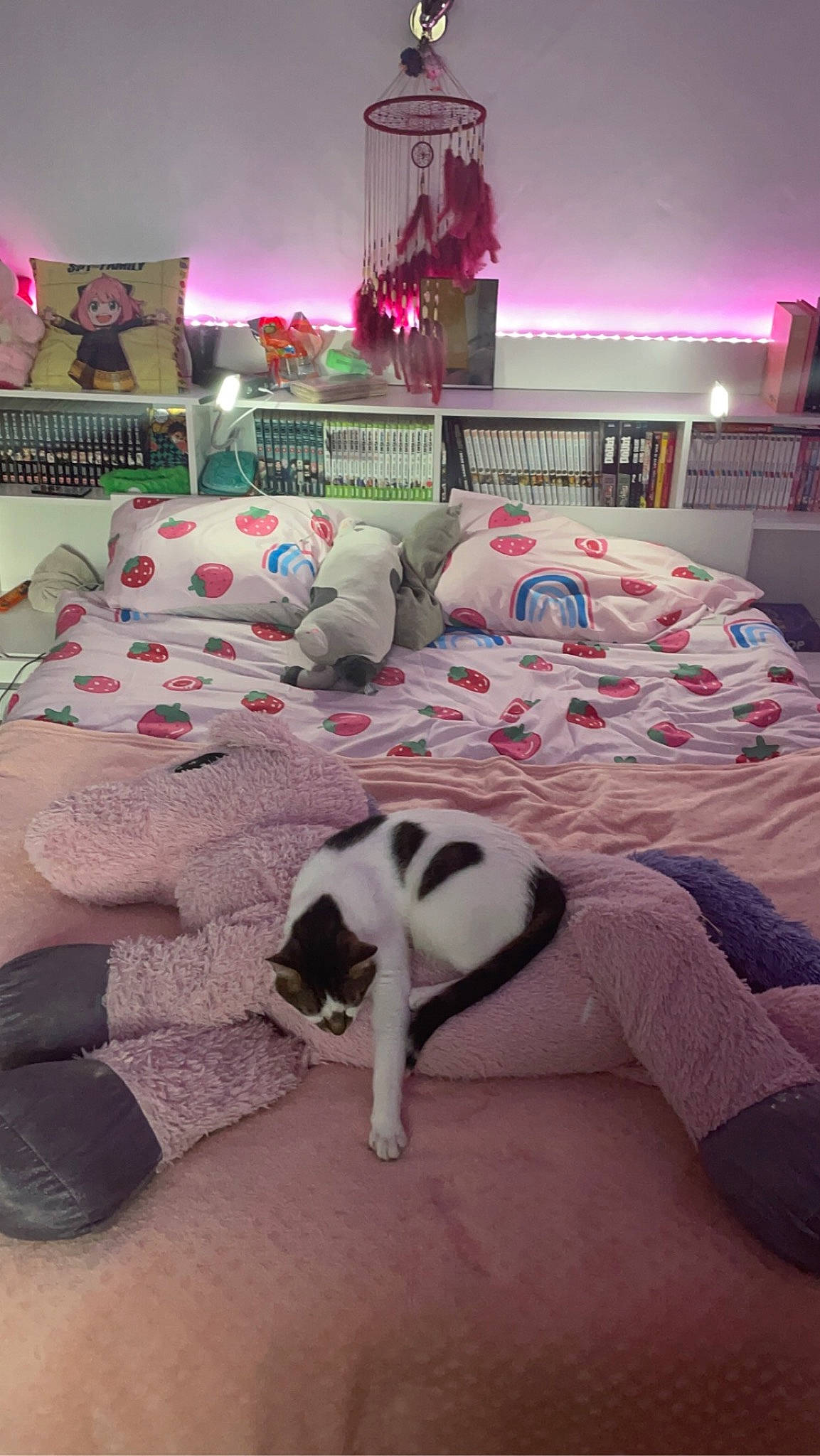 Foxy a rejoint le concours — aidez-le/la à gagner de superbes lots ! bed, bed_frame, bedding, bedroom, carnivore, comfort, companion_dog, dog, dog_breed, fawn, felidae, floor, flooring, grey, hardwood, interior_design, linens, small_to_medium_sized_cats, textile, wood