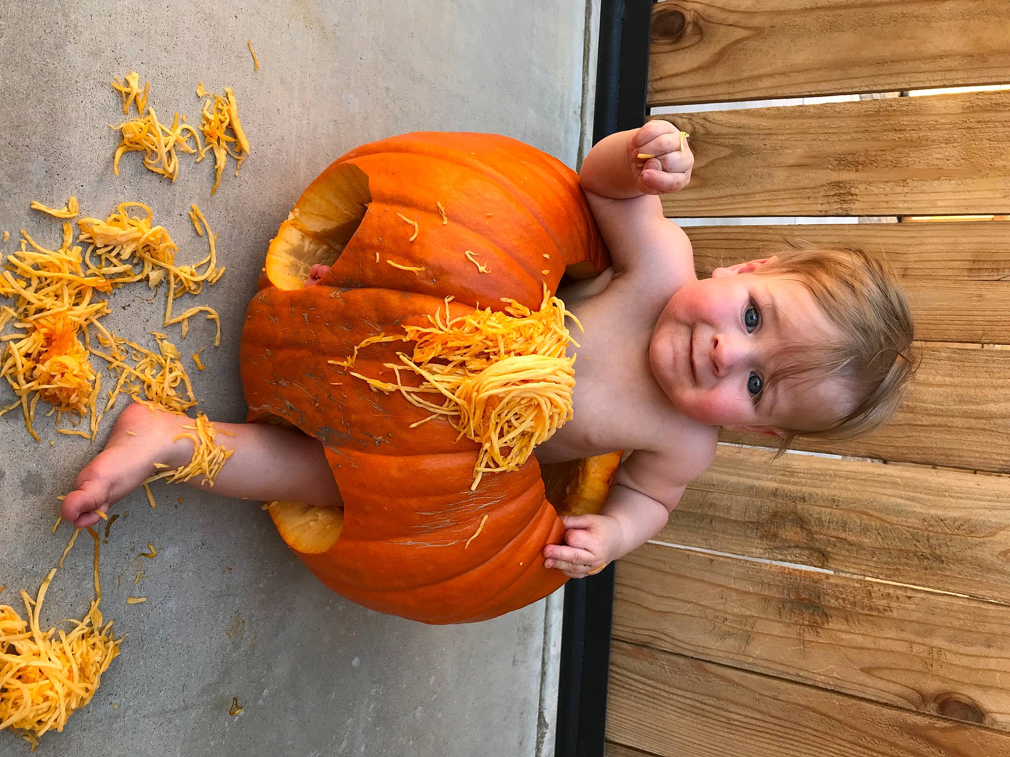 Wade joined the competition — help win amazing prizes! calabaza, cucurbita, dress, fruit, gourd, hand, happy, human_body, joy, natural_foods, orange, people, person, plant, pumpkin, smile, squash, tree, vegetable, window