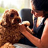 Tanuja Prabahar joined the competition — help win amazing prizes! woman, dog, pet, indoor, curly_fur, love, affection, casual_clothing, jeans, black_top, seated, natural_light, window, blurred_background, brown_dog, companion, caring, friendship, portrait, cozy